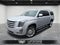 2017 Cadillac Escalade ESV Platinum