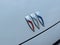 2024 Buick Envision Sport Touring
